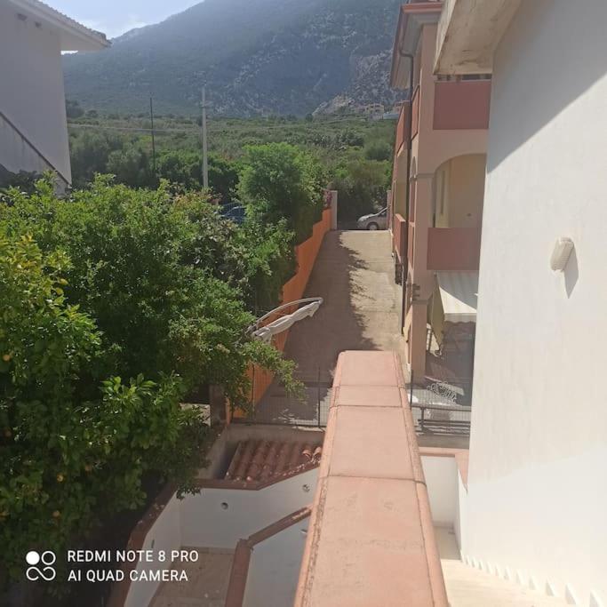 Haiku Home كالا غونوني المظهر الخارجي الصورة
