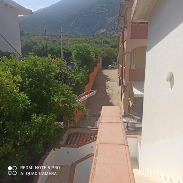 Haiku Home كالا غونوني المظهر الخارجي الصورة